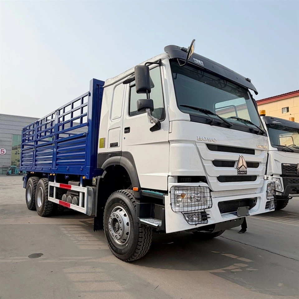 Pieu Sinotruk-Camion latéral